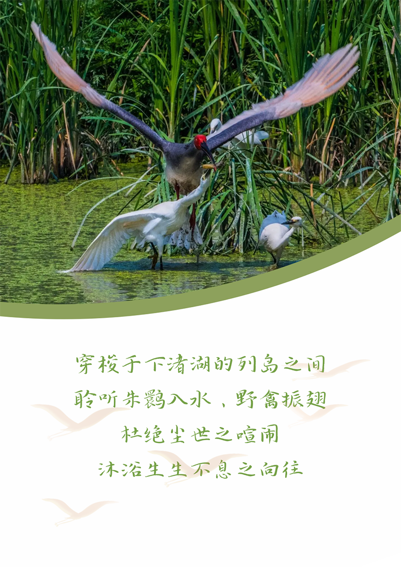 心心念廿 相伴asiagame | 与德清相约 贺廿载诞辰